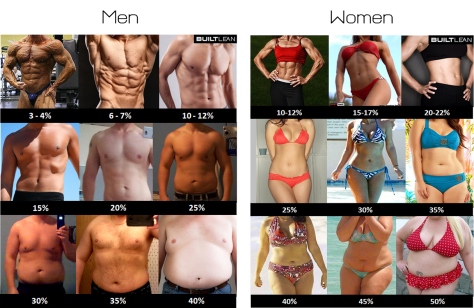 Men and Women Body Fat Percentage